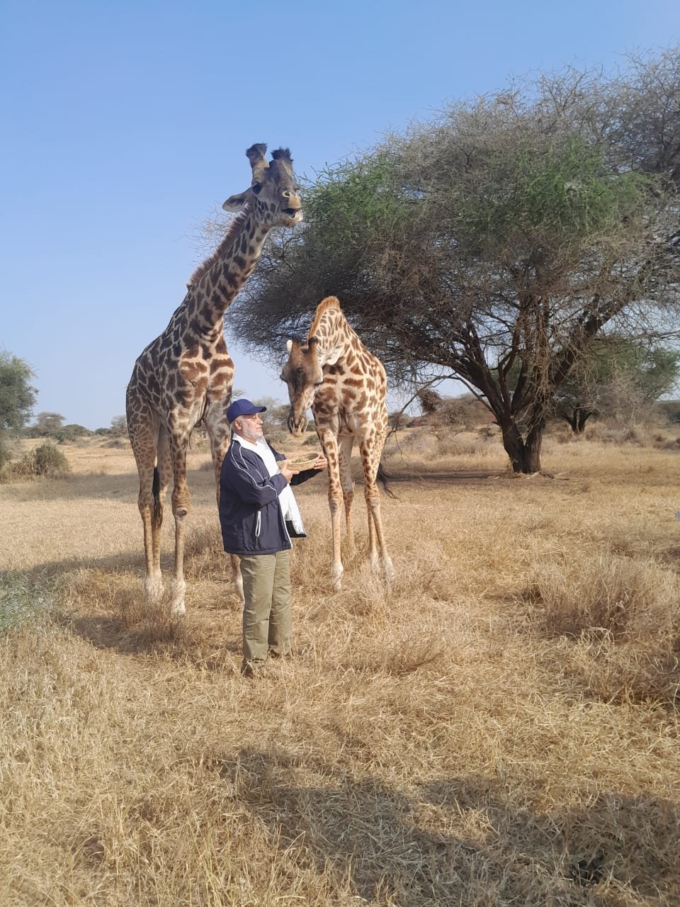 Junior ranger program