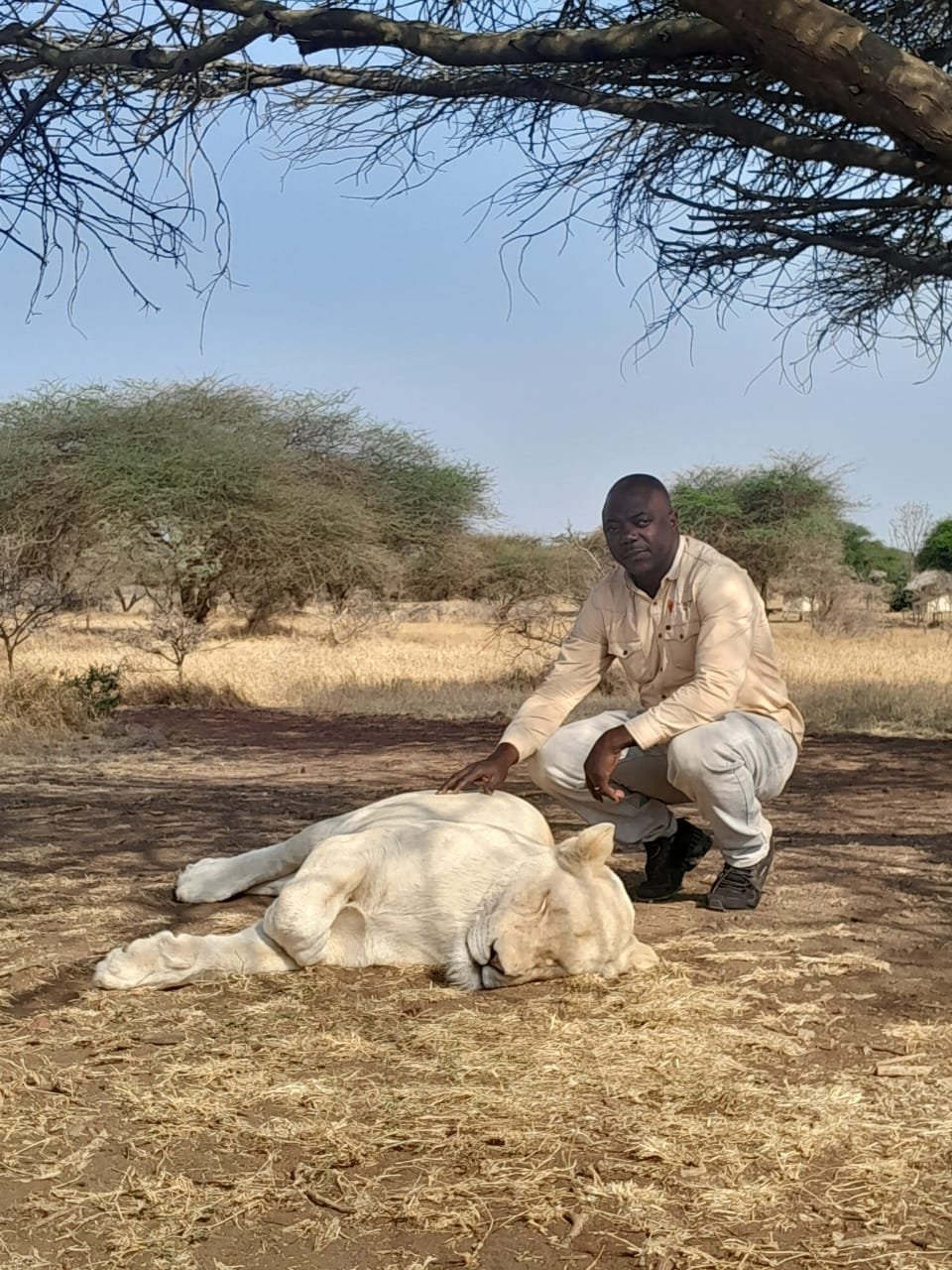 Elephant family at Tarangire